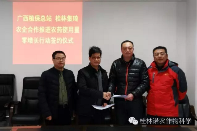 廣西植?？傉九c桂林集琦簽訂農(nóng)藥零增長合作協(xié)議