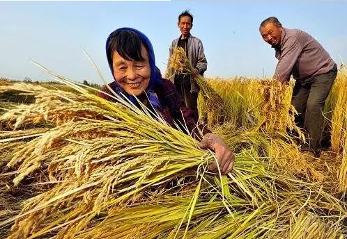 重磅！繼包產(chǎn)到戶之后，我國農(nóng)村又一次迎來重大改革